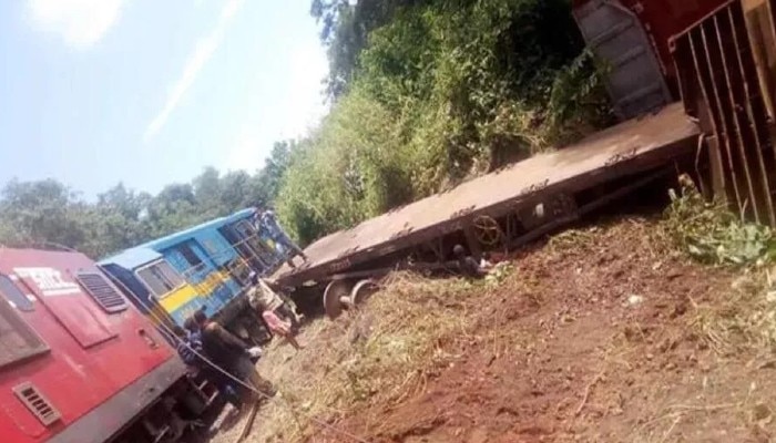 Congo Rail Accident: ট্রেন লাইনচ্যুত; গভীর খাদে গিয়ে পড়ল বগি! 