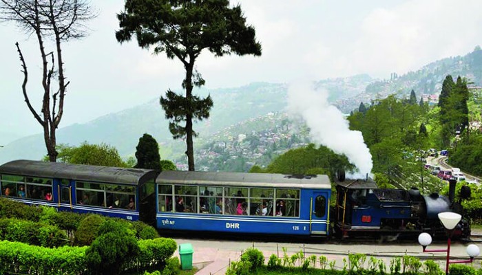 Kurseong-NJP Summer Festival: পর্যটন-মরসুমে পাহাড়ে টয়ট্রেনের নয়া চমক; থাকছে আরও স্বাচ্ছন্দ্য Kurseong-NJP Summer Festival: পর্যটন-মরসুমে পাহাড়ে টয়ট্রেনের নয়া চমক; থাকছে আরও স্বাচ্ছন্দ্য