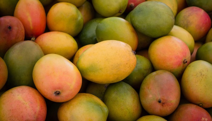 Mangoes in Mail