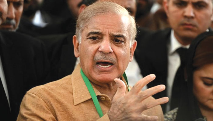 Shehbaz Sharif: &#039;রক্ত ঝরছে কাশ্মীরে&#039;, প্রধানমন্ত্রী হয়েই শাহবাজের মুখে ৩৭০ ধারা প্রসঙ্গ