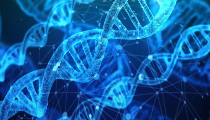 Hanskhali: হাঁসখালিকাণ্ডে মূল হাতিয়ার হতে পারে DNA, রিপোর্টে নজর CBI- এর