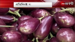Market Price Hike: সবজি থেকে মাছ-মাংস, বাজারদর আকাশছোঁয়া, কী বলছেন ক্রেতা-বিক্রেতারা? Bangla News