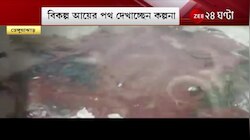 YouTube দেখেই মাছ চাষ! বিকল্প আয়ের পথ দেখাচ্ছে কল্পনা 