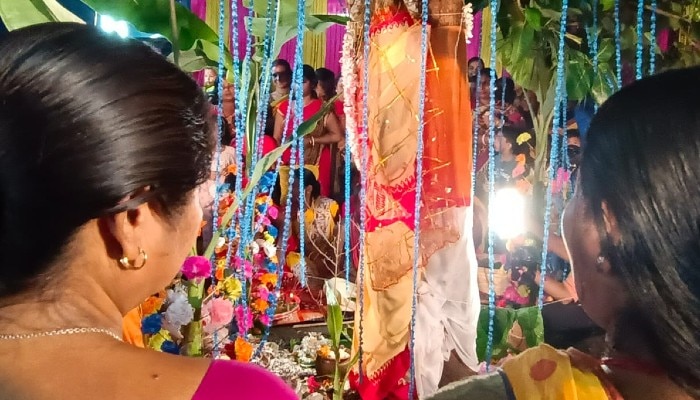 Marriage of Trees: বট-পাকুড়ের বিয়ে টোপর মাথায় দিয়ে! আড়ম্বরপূর্ণ বিয়েতে পাত পাড়লেন প্রায় ৫০০০ মানুষ