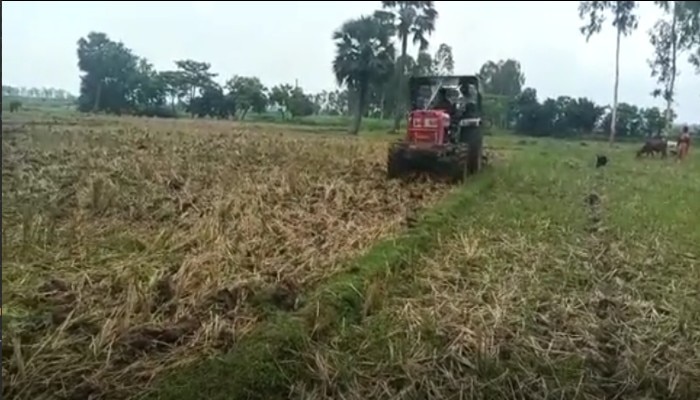 Malda: ধান চাষে আমূল পরিবর্তন মালদায়, ব্যবহার শুরু জৈব সার