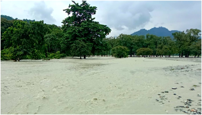 North Bengal Rain: অতিবৃষ্টিতে বিপর্যস্ত উত্তর, বাগডোগরায় বাতিল ২৬ উড়ান