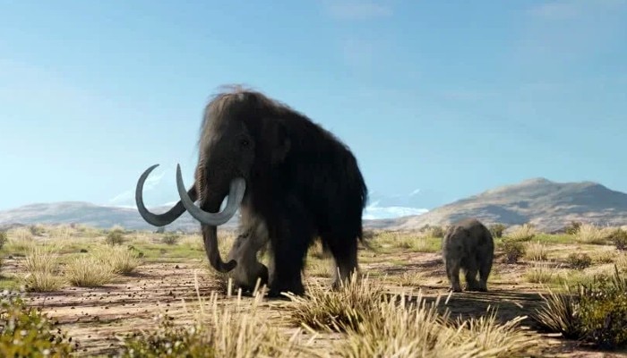 Baby Mammoth: মিলল ৩০ হাজার বছরের পুরনো ম্যামথ! কোথায় কীভাবে জানেন?