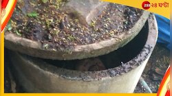 ছেলের হাতে খুন বাবা? বাড়ির সেপটিক ট্যাংকে পাওয়া গেল দেহ