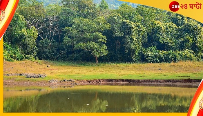 Save Water Day: ভূগর্ভস্থ জলস্তর ক্রমশ নামছে, জল-ভাবনার একটি দিন  