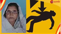ঝোপের আড়ালে মৃত্যুফাঁদ! উলুবেড়িয়ায় ফের বিদ্যুৎস্পৃষ্ট হয়ে প্রাণ গেল বৃদ্ধার