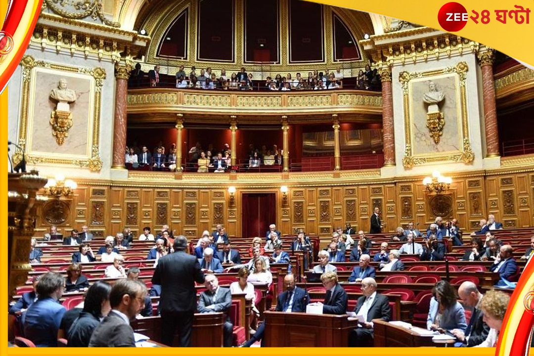 French Parliament: টাই কি পরতেই হবে? ফরাসি পার্লামেন্টে হঠাৎ-বিতর্ক 