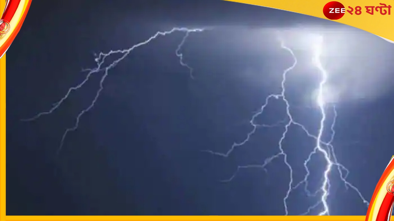 Bihar Lightning: একদিনে বজ্রপাতে নিহত ২০, জরুরি বৈঠক মুখ্যমন্ত্রীর