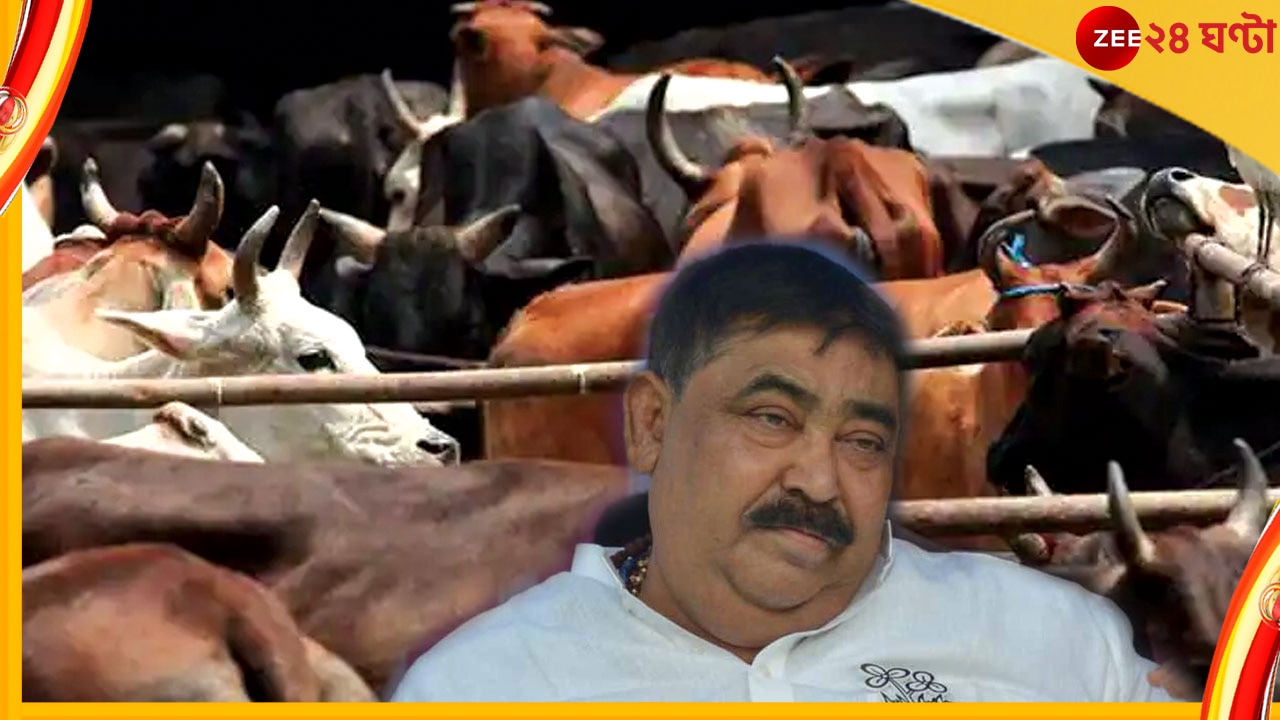 Anubrata on Cattle Smuggling: ইলামবাজারের হাট থেকে সীমান্ত, কীভাবে চলত গোরুপাচার, কারা পেতেন বিপুল সেই টাকা!