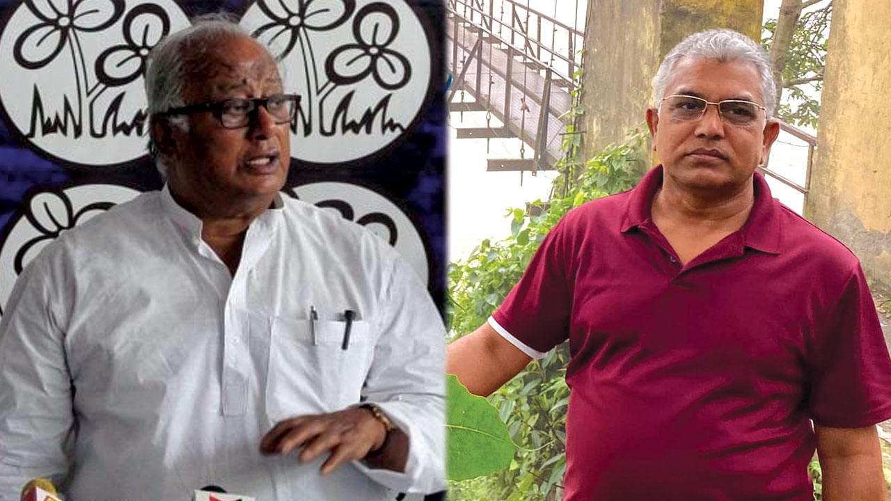 Saugata Roy On Dilip Ghosh: উপযুক্ত সম্মান পাচ্ছেন না দিলীপ, ওঁর উচিত দলকে একটা ধাক্কা দেওয়া: সৌগত