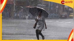 Weather Report: আজও বৃষ্টির ভ্রুকুটি একাধিক জেলায়, বাড়বে আর্দ্রতার অস্বস্তি