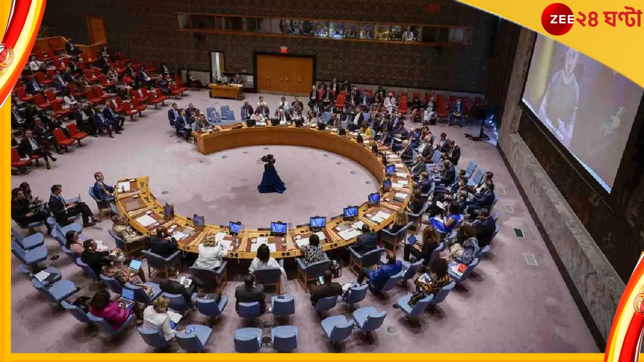 UNSC: দীর্ঘ মৈত্রীর অবসান? এই প্রথম রাশিয়ার বিরুদ্ধে ভোট দিল ভারত…