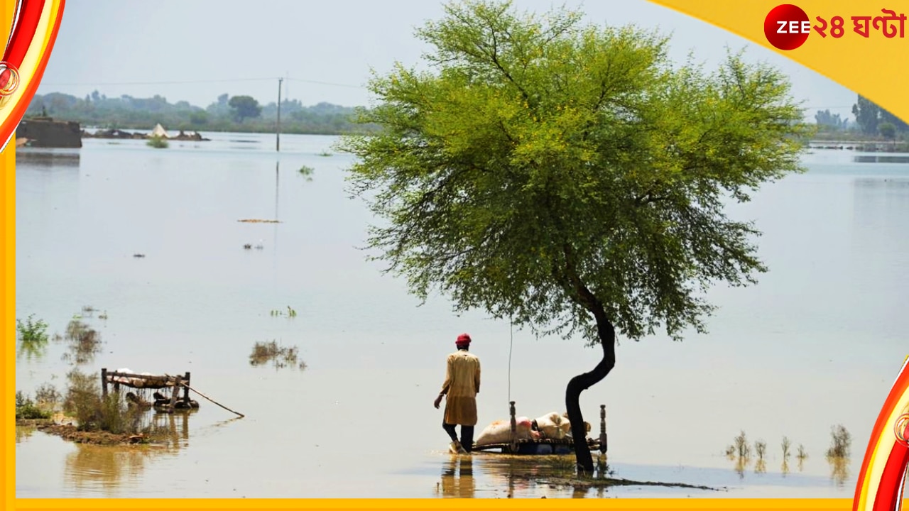 Pakistan Floods: আমাদের সাহায্য করুন, বন্যাবিধ্বস্ত পাকিস্তানের কাতর আহ্বান... 