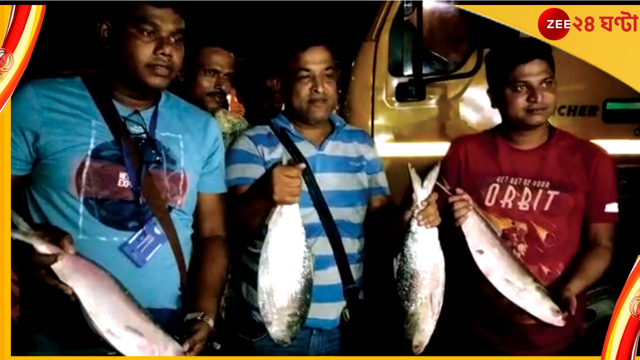 Bangladeshi Hilsa in Bengal: নজরকাড়া আকার-ওজন, বাংলাদেশ থেকে রাজ্যে ঢুকল পদ্মার ইলিশ