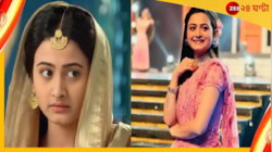 চলে গেল, দেখে গেল না! মৃত্যুর পর ফের টিভিতে পল্লবী...