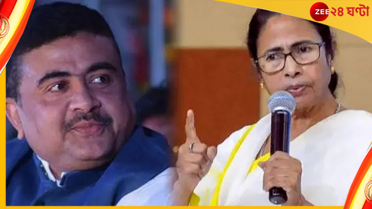  Mamata Banerjee in Assembly: &#039;তুমি চুরি করে সাধু হলে আজ&#039;! বিধানসভায় শুভেন্দুকে কটাক্ষ মুখ্যমন্ত্রীর