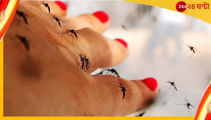 Mosquito Bites: গন্ধ শুঁকে মশা কাউকে বেশি কামড়ায়, কাউকে কম, অবাক করা কারণ!