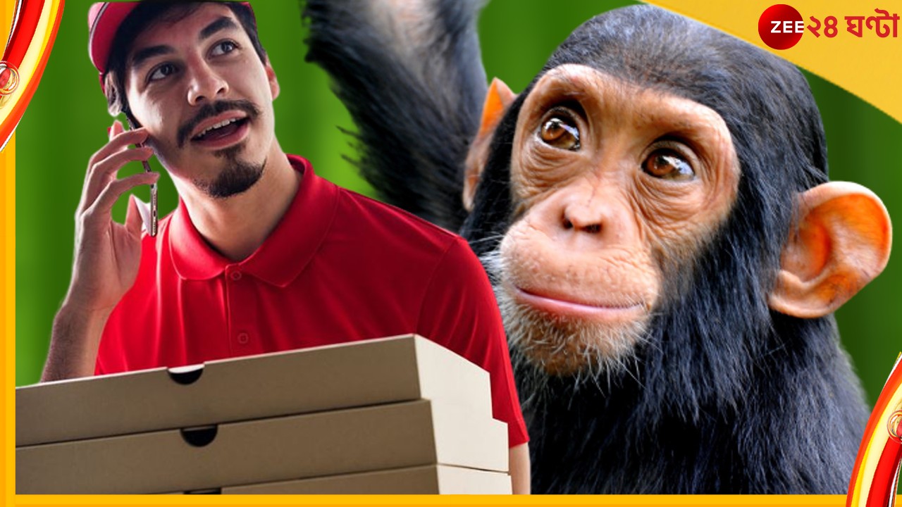 Chimpanzee, Pizza, Watch: মহাবিশ্বে কত কী না ঘটে! পিৎজার ডেলিভারি নিয়ে বিলও মেটাল শিম্পাঞ্জি 
