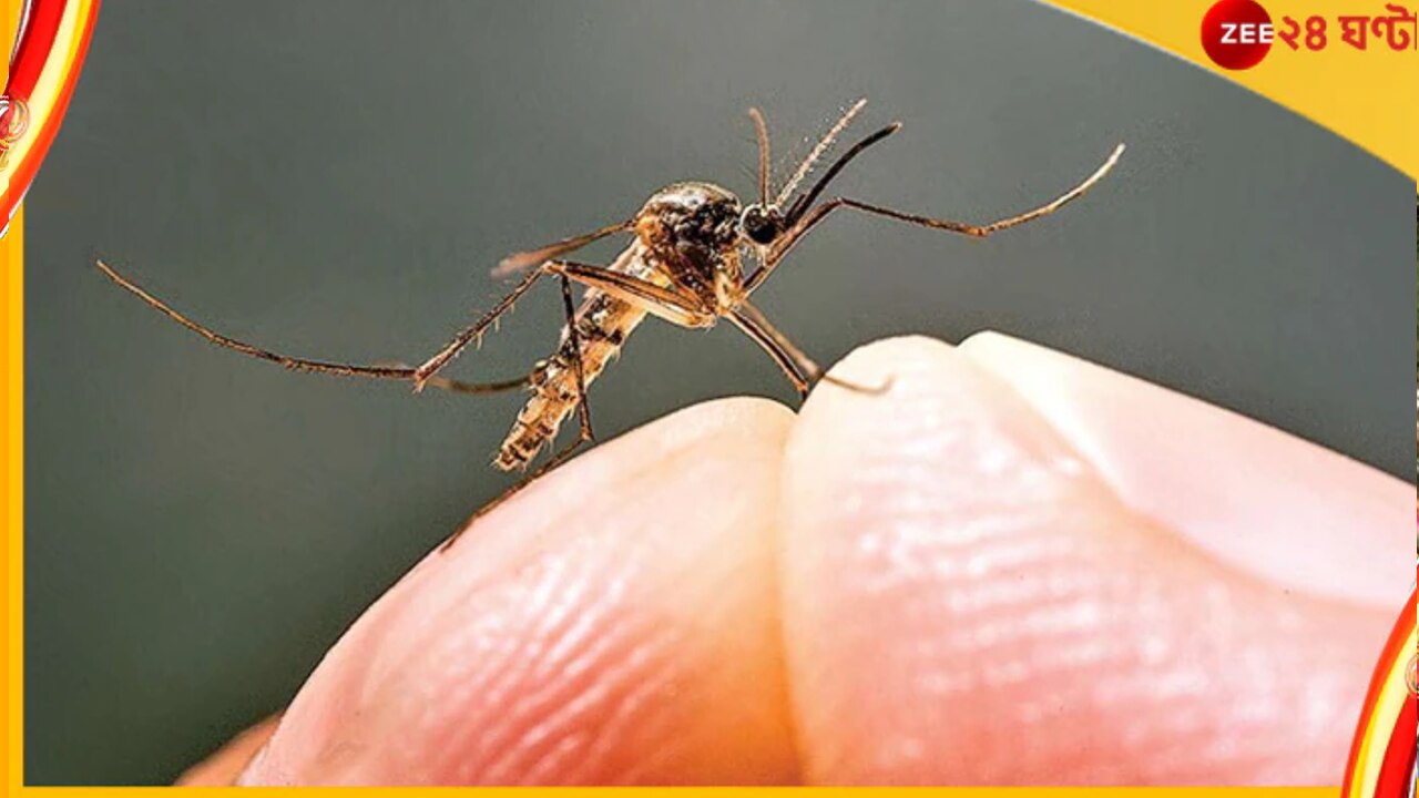 WB Dengue Update: ডেঙ্গির থাবা আরও চওড়া হচ্ছে রাজ্যে, গত ২৪ ঘণ্টায় আক্রান্ত ৬৬২