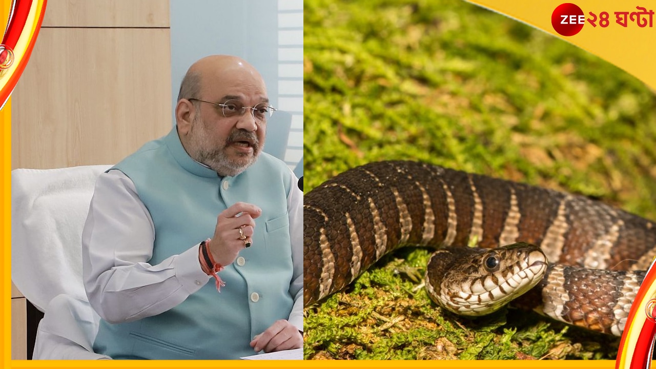 Amit Shah&#039;s Residence: অমিত শাহের বাড়িতে এক লম্বা সাপ! বনকর্মীদের চেষ্টায় উদ্ধার করা গেল সেটি...