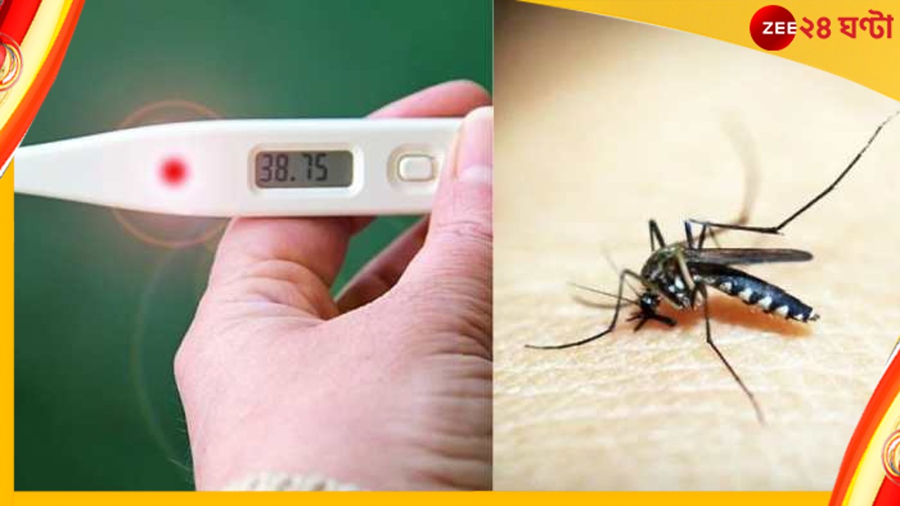 Dengue: রাজ্যে ক্রমশ বাড়ছে ডেঙ্গু, কী কী উপসর্গ দেখলে আগাম সতর্ক হবেন?