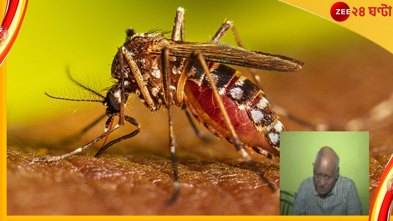 Dengue: ডেঙ্গিতে মস্তিষ্কে &#039;বিরল&#039; রক্তক্ষরণ, মিরাকল ঘটিয়ে জীবন ফেরালেন চিকিৎসকরা!