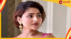 ব্রেন স্ট্রোকে আক্রান্ত, ভেন্টিলেশনে অভিনেত্রী ঐন্দ্রিলা শর্মা...