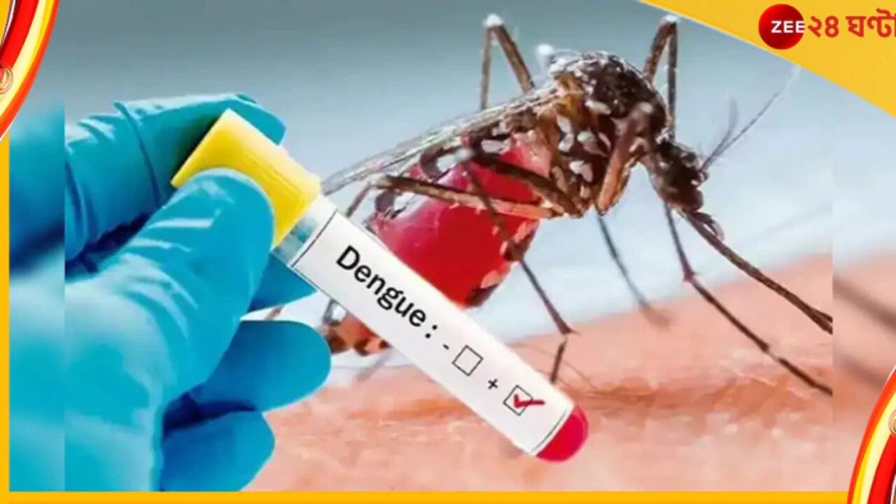 Dengue Positivity Rate: রাজ্যের মধ্যে কলকাতাতেই রেকর্ডহারে বাড়ছে ডেঙ্গি! চাঞ্চল্যকর তথ্য প্রকাশ্যে