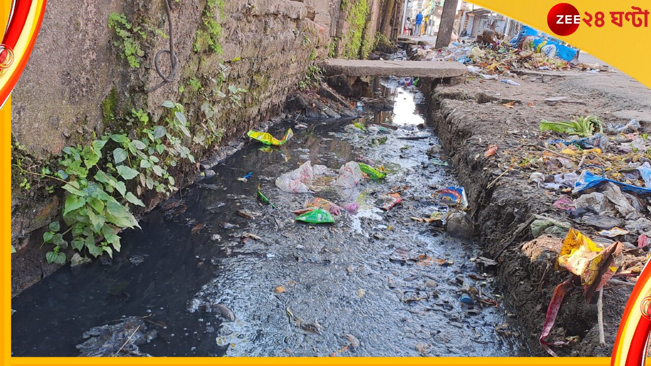 Jalpaiguri: জলপাইগুড়িতে বাড়ছে ডেঙ্গি আক্রান্তের সংখ্যা; তবুও উদাসীনতার ছবি চারিদিকে... 