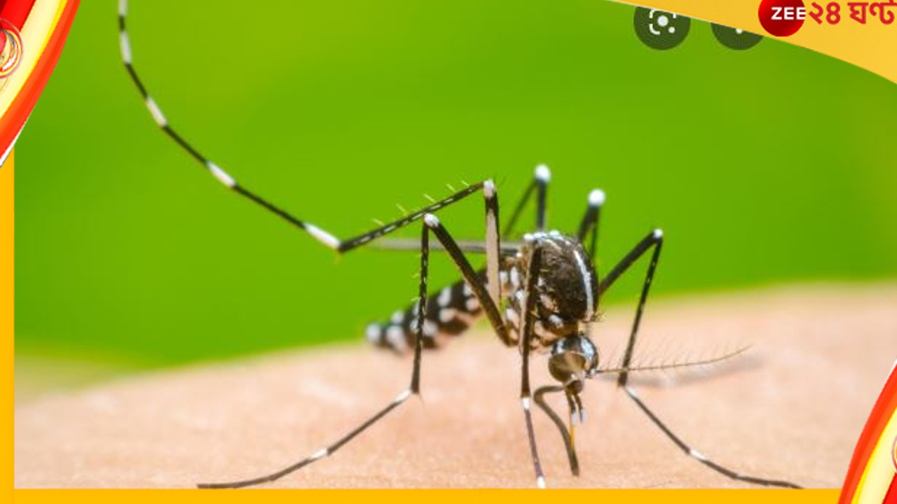 Dengue: &#039;ডেঙ্গি পরিস্থিতি নিয়ন্ত্রণের বাইরে&#039;, কলকাতায় এবার জোড়া মৃত্যু!