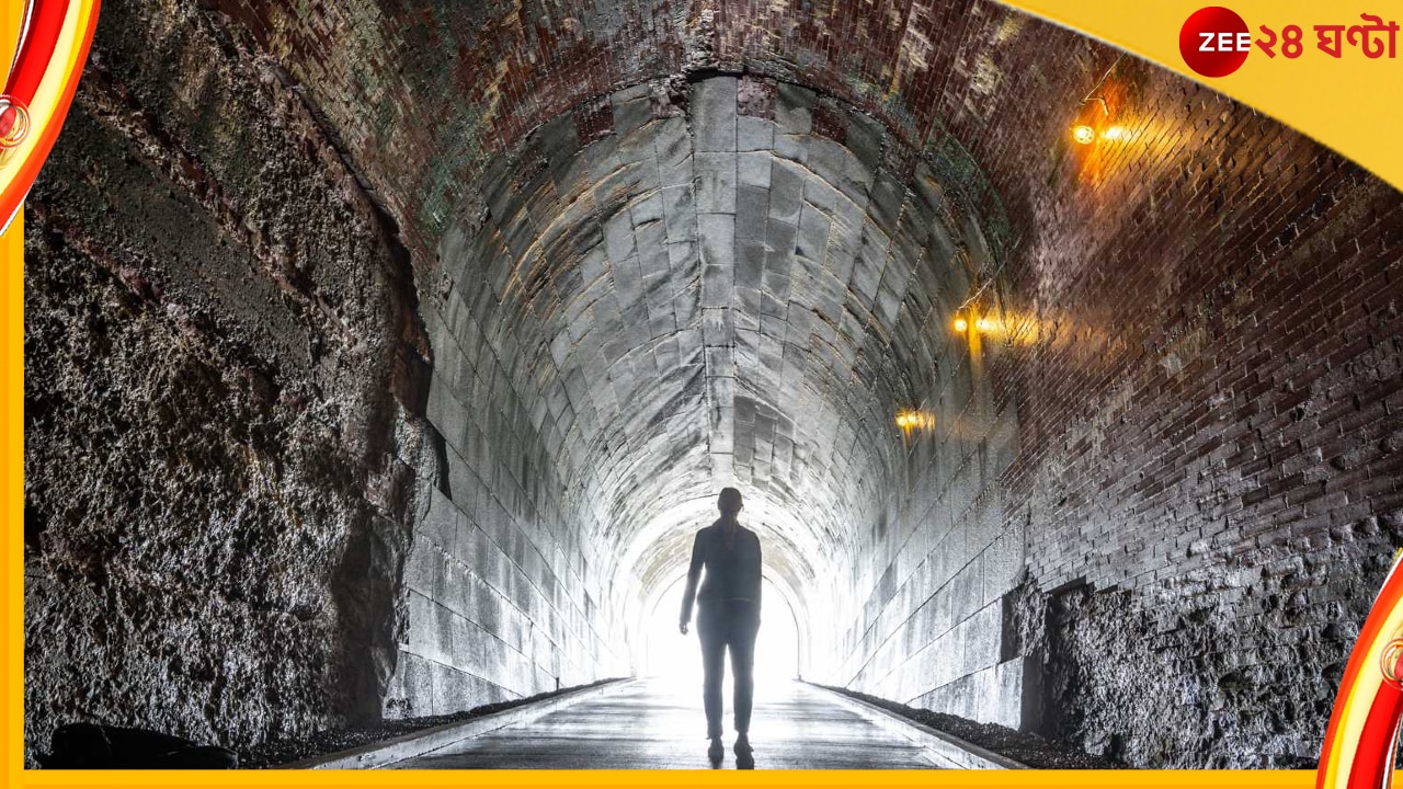 Tunnel Below Niagara Falls: নায়াগ্রা জলপ্রপাতের নীচে ১০০ বছরেরও পুরনো দীর্ঘ সুড়ঙ্গ! কী আছে সেই গহিন অন্ধকারে? 