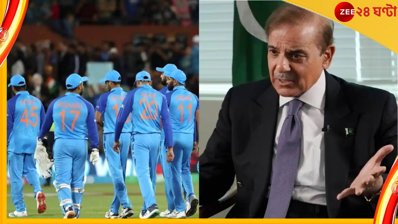 ICC T20 World Cup 2022: সেমি ফাইনাল হারতেই ভারতকে বিঁধলেন পাকিস্তানের প্রধানমন্ত্রী! কী লিখলেন শাহবাজ শরিফ 