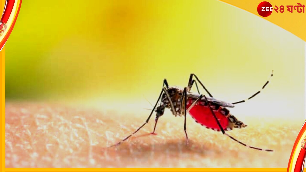 Dengue in Bengal: কমছে না ডেঙ্গির দাপট, রাজ্যে নতুন করে আক্রান্ত ৫৯৪