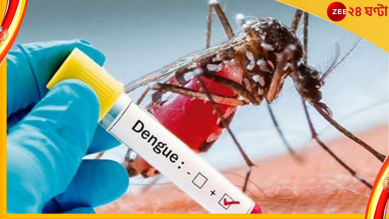 Dengue: কলকাতায় ফের প্রাণ কাড়ল ডেঙ্গি, হাসপাতালে ভর্তির কয়েক ঘণ্টাতেই মৃত্যু যুবতীর