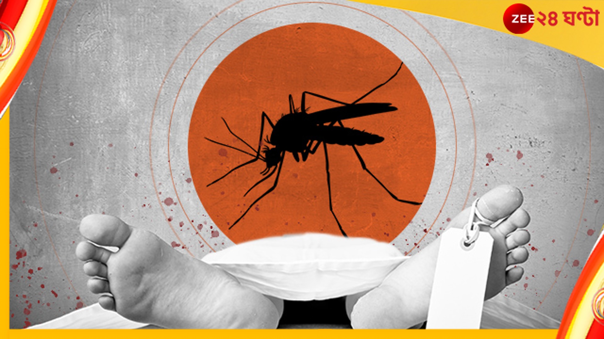Dengue Death: ফের ডেঙ্গু আক্রান্তের মৃত্যু বেলেঘাটা আইডি হাসপাতালে! চিন্তা বাড়ছে রাজ্যে