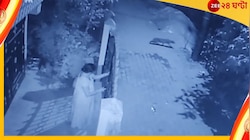 Watch: ধূপগুড়িতে লোকালয়ে ঘুরে বেড়াচ্ছে চিতাবাঘ!