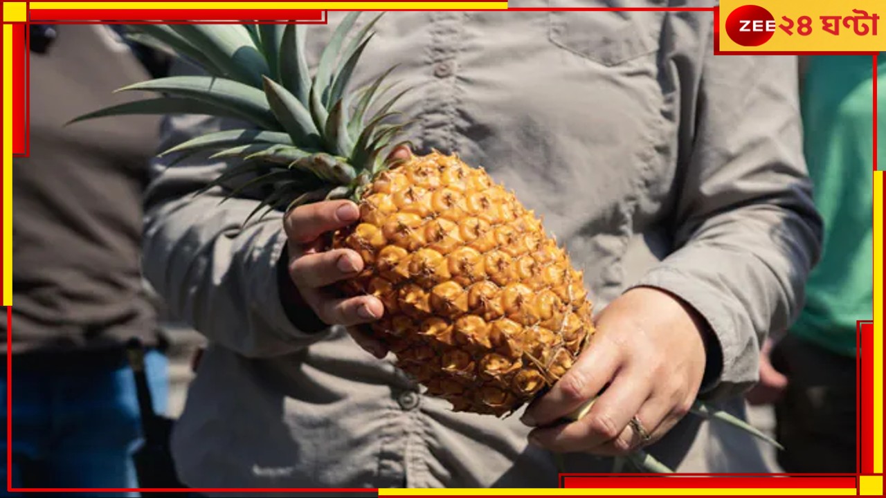 Most Expensive Pineapple: এক পিস আনারস এক লাখ টাকা! উত্তরবঙ্গে ফলবে? 