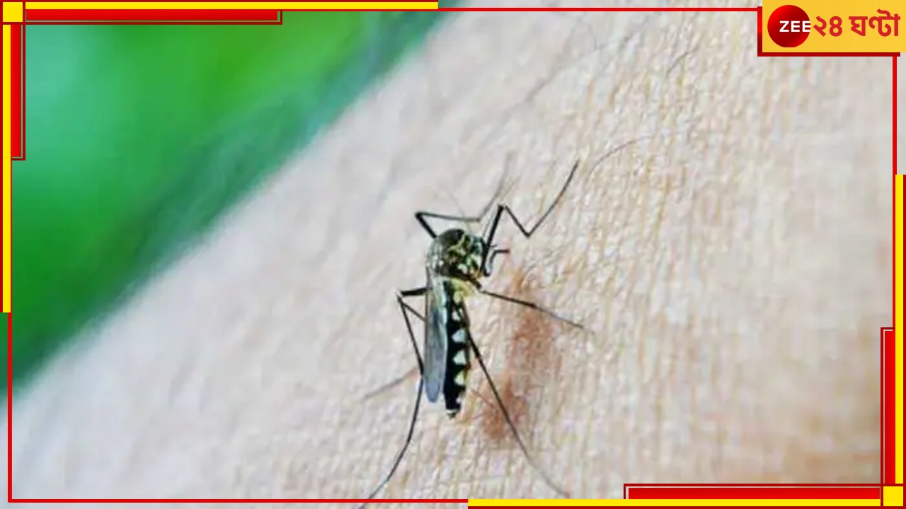 Zika virus: কোভিডের পরে চিন্তা বাড়াচ্ছে জিকা ভাইরাস, আক্রান্ত ৫ বছরের নাবালিকা