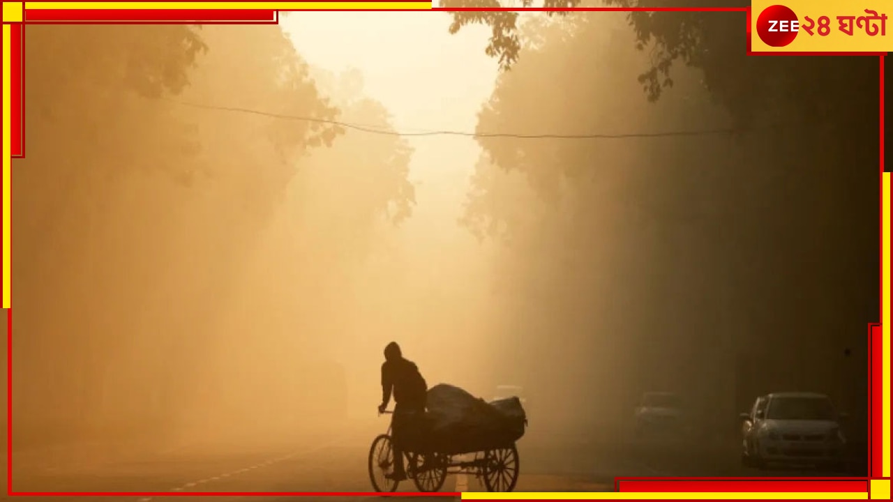 India&#039;s Most Polluted Cities: ভারতের &#039;মোস্ট পলিউটেড সিটি&#039;র তালিকায় কোন কোন শহর রয়েছে জেনে আঁতকে উঠবেন...
