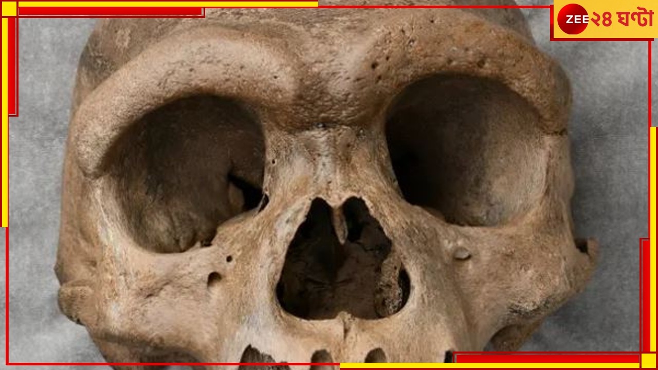 Malda Skeleton: পুরসভার পার্কিং লটে কাটা মুণ্ডু! শহরে আতঙ্ক