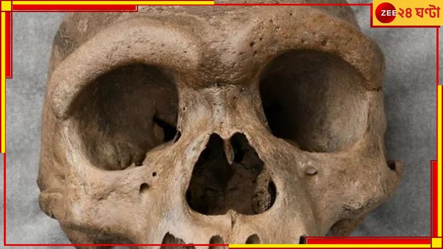 Malda Skeleton: পুরসভার পার্কিং লটে কাটা মুণ্ডু! শহরে আতঙ্ক