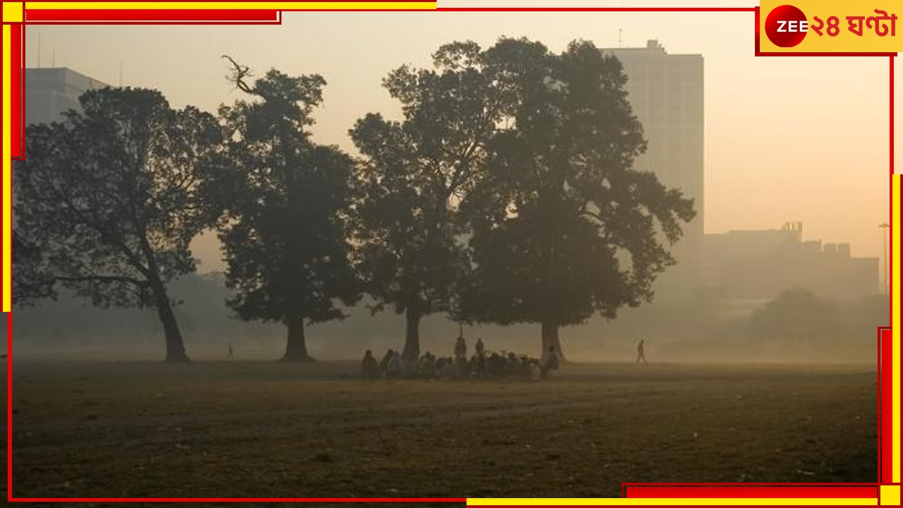 Bengal Weather Update: আপাতত বিদায় নিল শীত, নতুন বছরকে স্বাগত জানাবে উষ্ণ আবহাওয়া