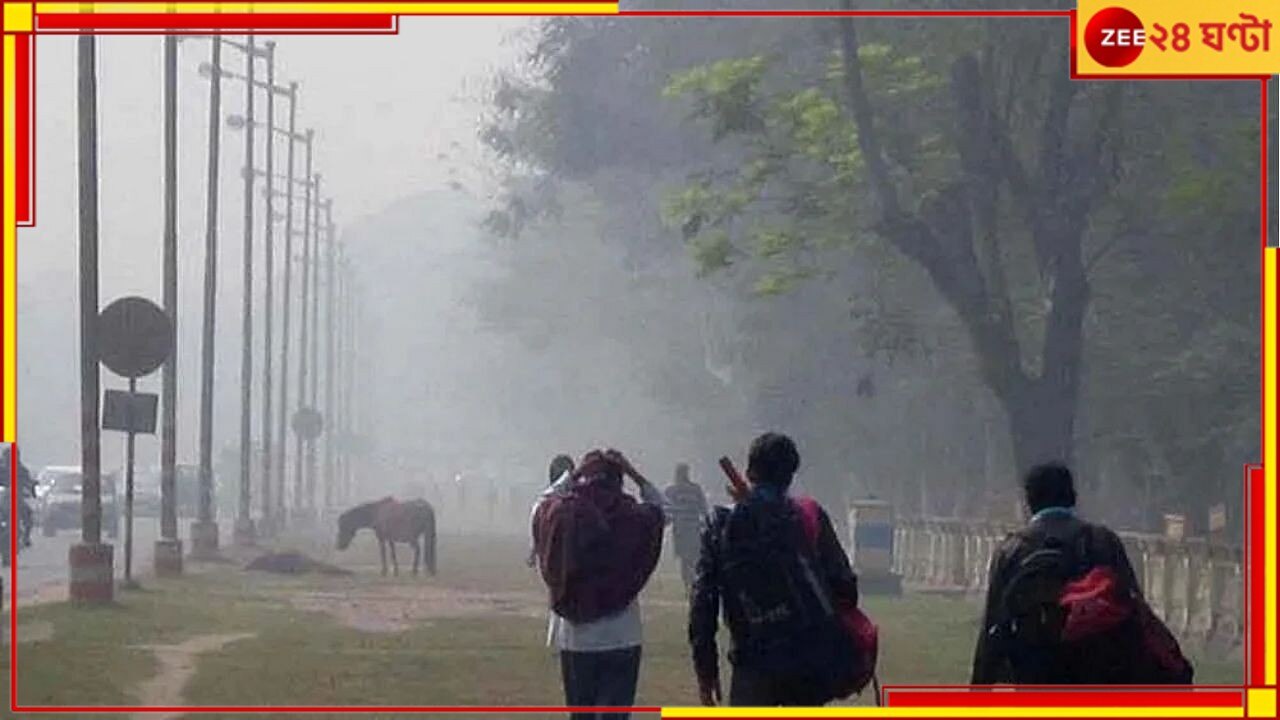 Weather Today: বড়দিনে কমল শীতের দাপট, কুয়াশার চাদরে ঢাকল তিলোত্তমা