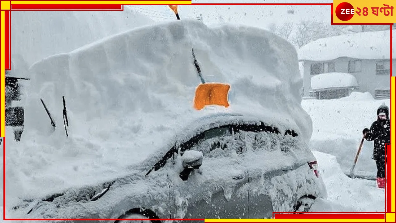 Heavy Snow in Japan: তুষারপাতের কবলে জাপান! মৃত ১৭, আহত বহু...