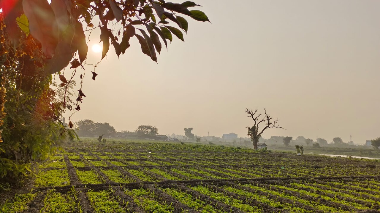 দেশের আবহাওয়া