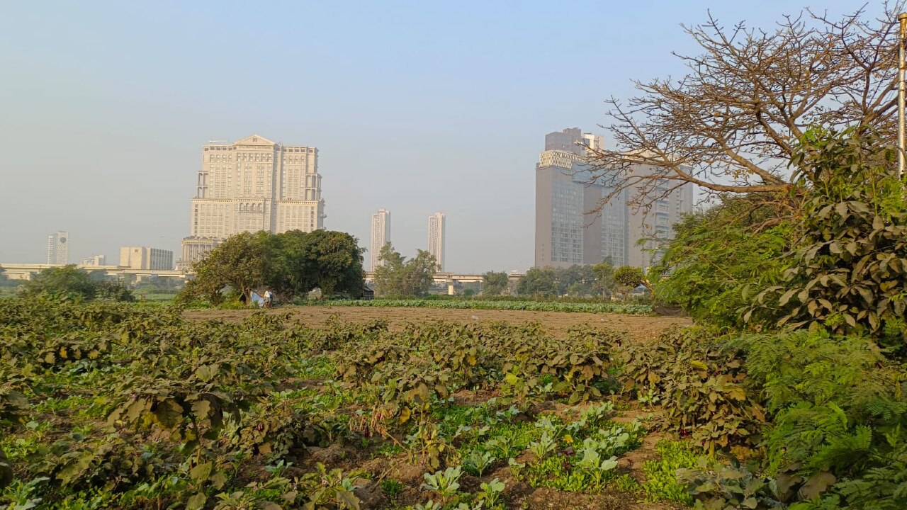 সিস্টেম